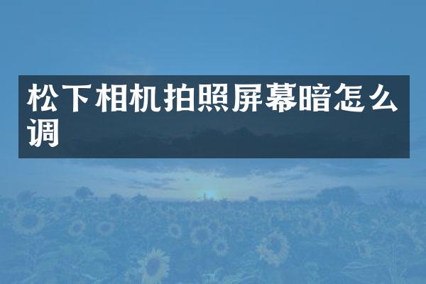松下相机拍照屏幕暗怎么调