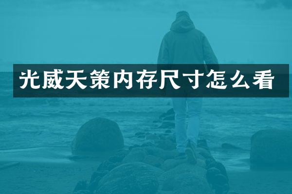 光威天策内存尺寸怎么看