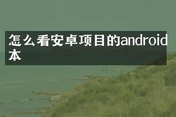 怎么看安卓项目的android版本