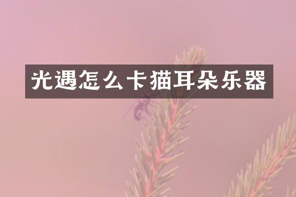 光遇怎么卡猫耳朵乐器