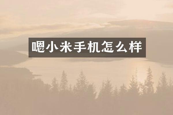 嗯小米手机怎么样
