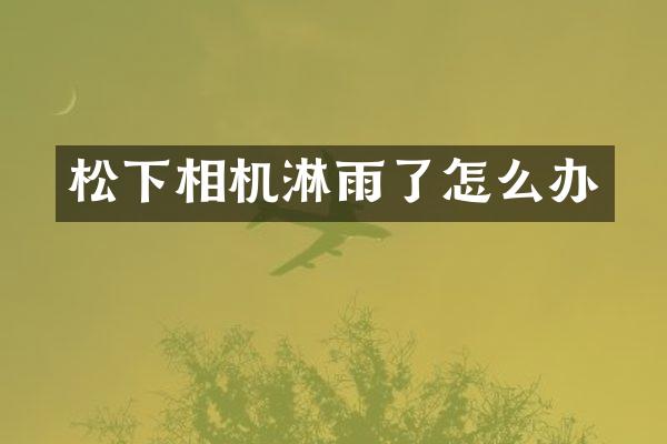 松下相机淋雨了怎么办