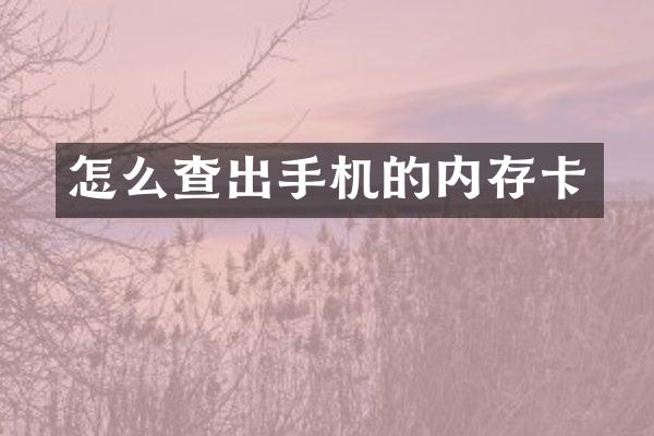 怎么查出手机的内存卡