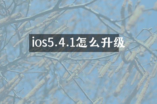ios5.4.1怎么升级