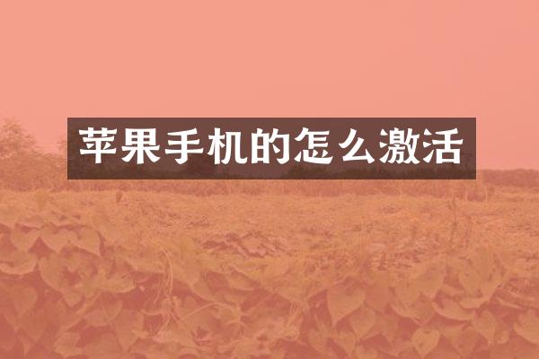 苹果手机的怎么激活