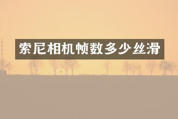 索尼相机帧数多少丝滑