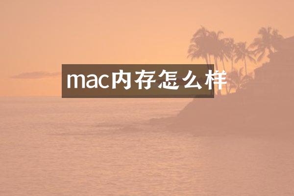 mac内存怎么样