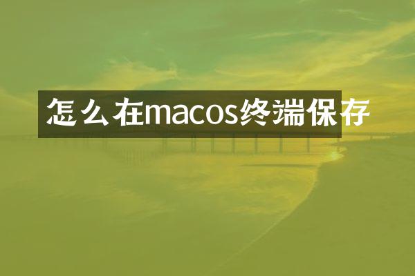 怎么在macos终端保存