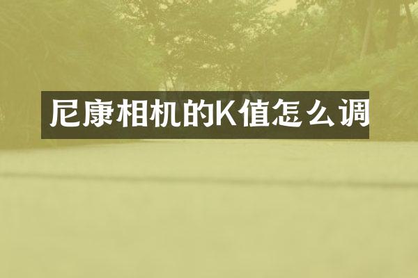尼康相机的K值怎么调