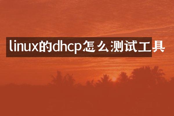 linux的dhcp怎么测试工具