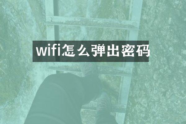 wifi怎么弹出密码