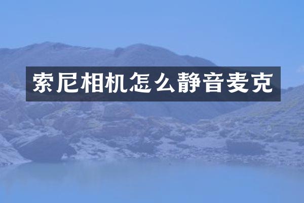 索尼相机怎么静音麦克