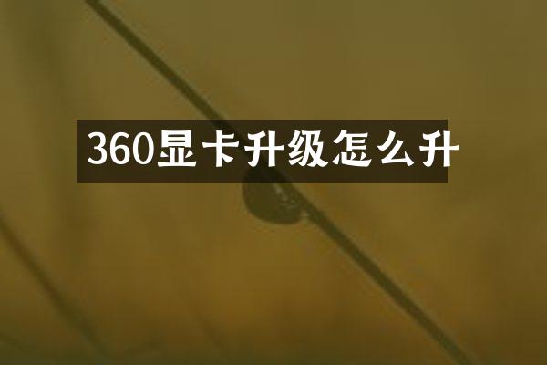 360显卡升级怎么升