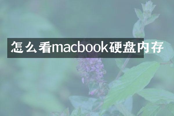 怎么看macbook硬盘内存