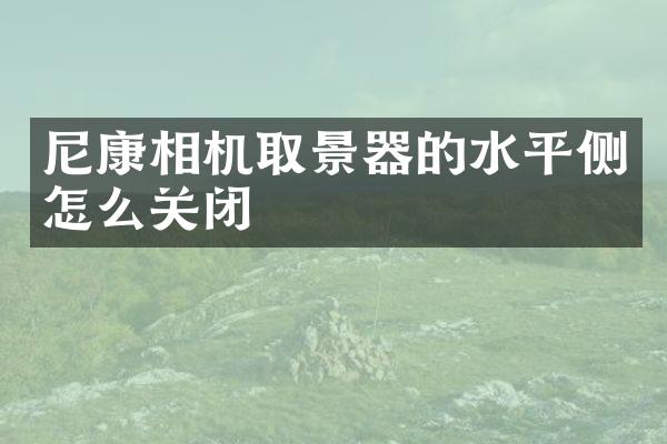 尼康相机取景器的水平侧怎么关闭