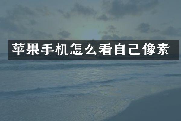 苹果手机怎么看自己像素