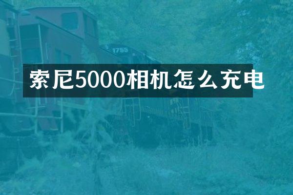 索尼5000相机怎么充电