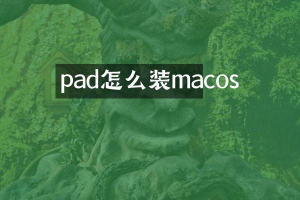 pad怎么装macos