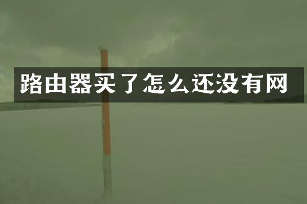 路由器买了怎么还没有网