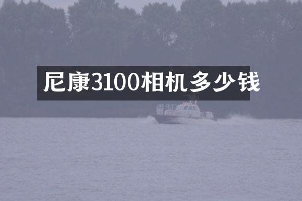 尼康3100相机多少钱