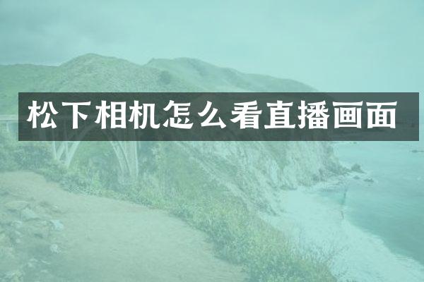 松下相机怎么看直播画面