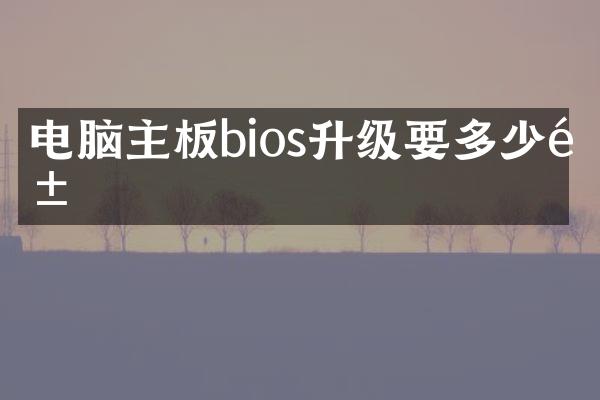 电脑主板bios升级要多少钱