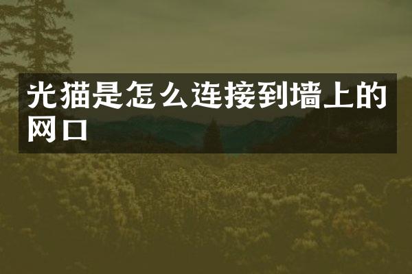 光猫是怎么连接到墙上的网口