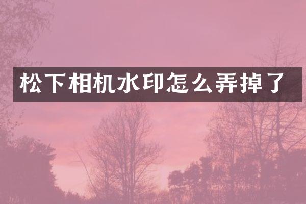 松下相机水印怎么弄掉了