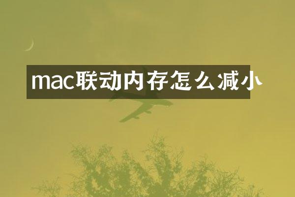 mac联动内存怎么减小