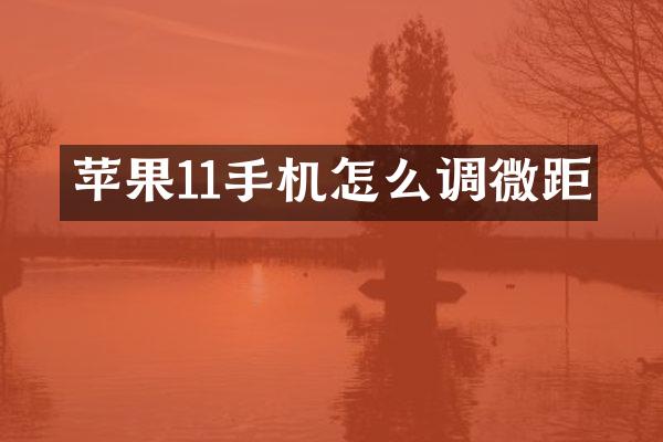 苹果11手机怎么调微距