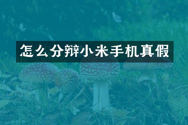 怎么分辩小米手机真假