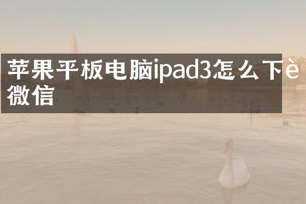 苹果平板电脑ipad3怎么下载微信