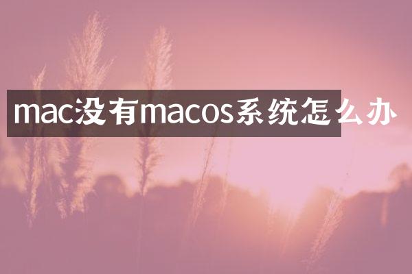mac没有macos系统怎么办