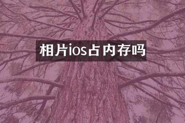 相片ios占内存吗