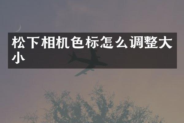 松下相机色标怎么调整大小