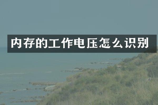 内存的工作电压怎么识别