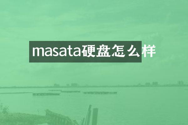 masata硬盘怎么样