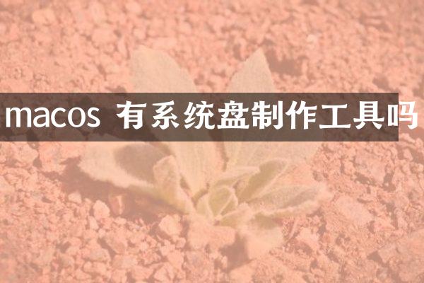 macos 有系统盘制作工具吗