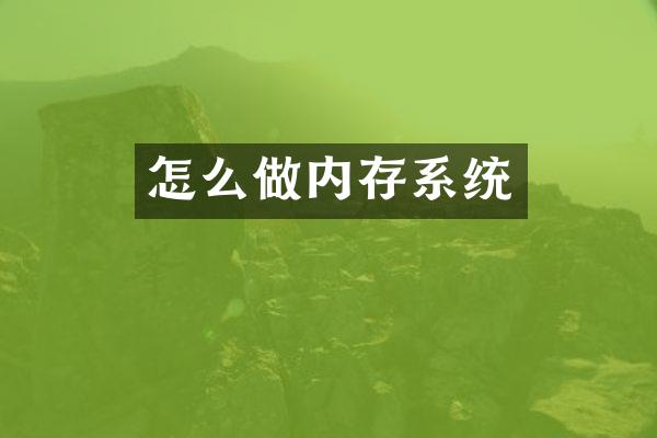怎么做内存系统