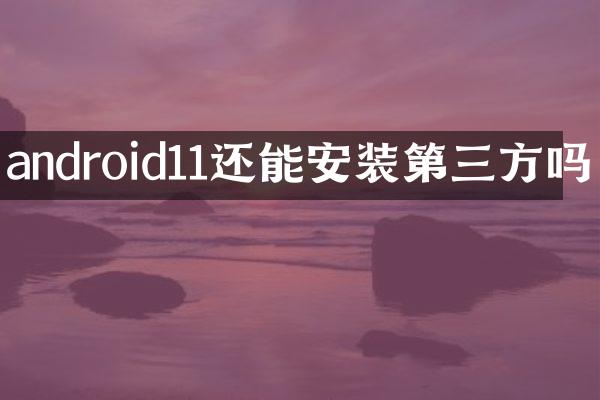 android11还能安装第三方吗