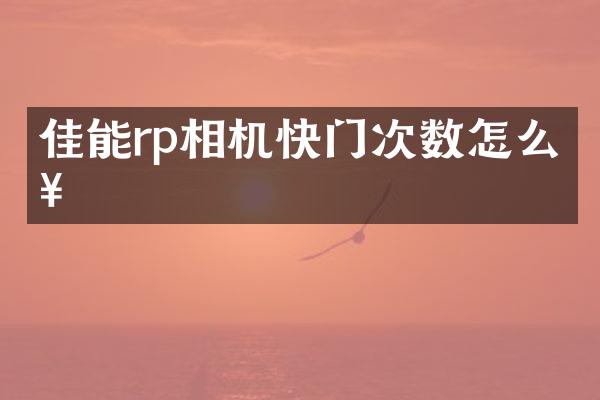 佳能rp相机快门次数怎么查