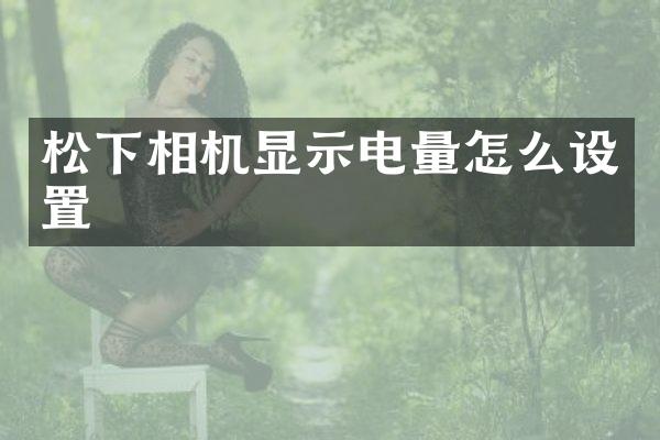 松下相机显示电量怎么设置