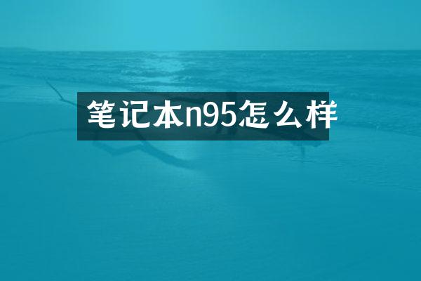 笔记本n95怎么样
