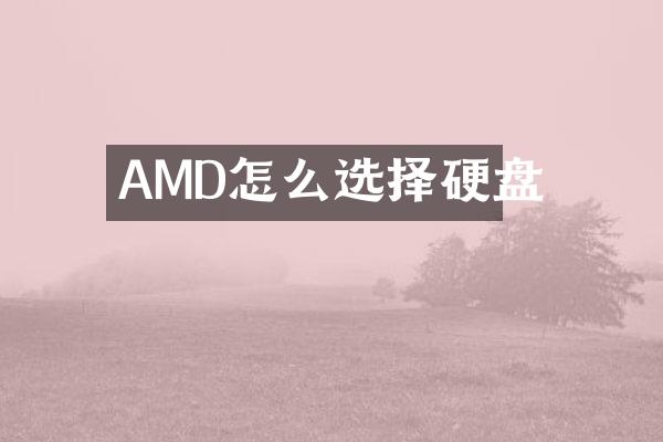 AMD怎么选择硬盘