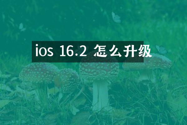 ios 16.2 怎么升级