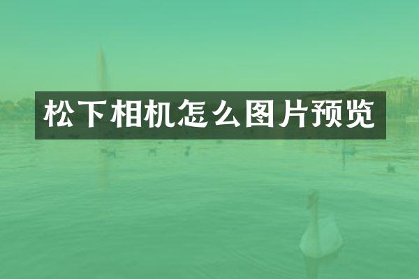 松下相机怎么图片预览