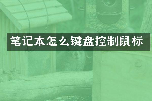 笔记本怎么键盘控制鼠标