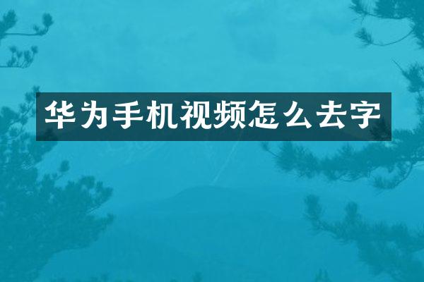 华为手机视频怎么去字