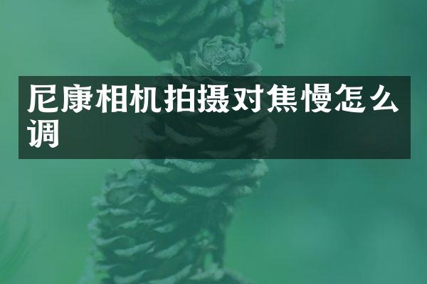 尼康相机拍摄对焦慢怎么调