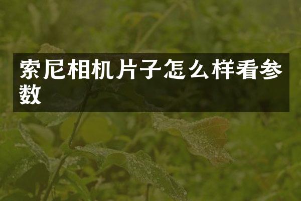 索尼相机片子怎么样看参数